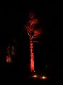 Ilumina_2014   002